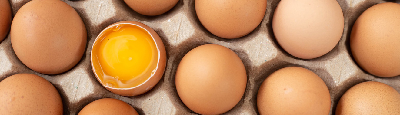 تخم مرغ مایع